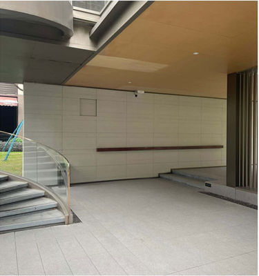 kupować Białe drewno ziarno 60x120cm Matowa płytka porcelanowa na ściany zewnętrzne produkcja internetowa