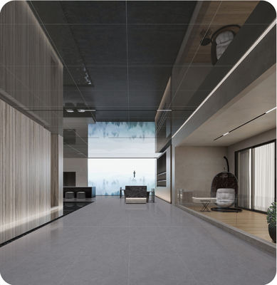 kupować Płytka porcelanowa 600x1200mm głęboki szary, antybakteryjna do podłóg wewnętrznych produkcja internetowa