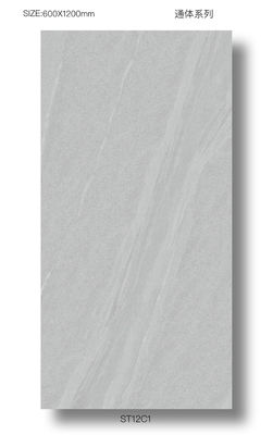 kupować Płytki porcelanowe całopowierzchniowe AAA Grade 60x120cm na podłogi zewnętrzne produkcja internetowa