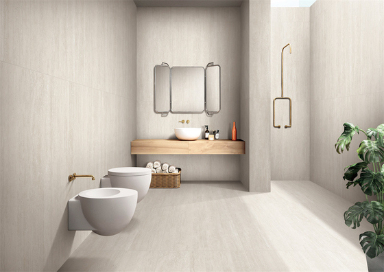kupować Ściany wewnętrzne z płytkami z porcelany i płytkami zewnętrznymi o rozmiarach 600x1200 mm produkcja internetowa