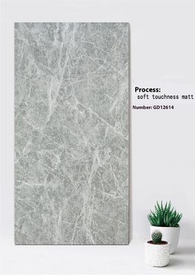kupować Świeżo-szary Marmurowy wygląd Odporny na zadrapania 600x1200mm Miękka wrażliwość Matek Zewnętrzna płytka ścienna do ogrodu produkcja internetowa