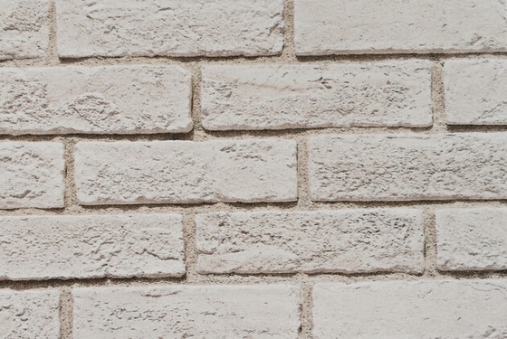 kupować SGS White Faux Art Fornir Hodowana kamienna cegła 60x200mm produkcja internetowa