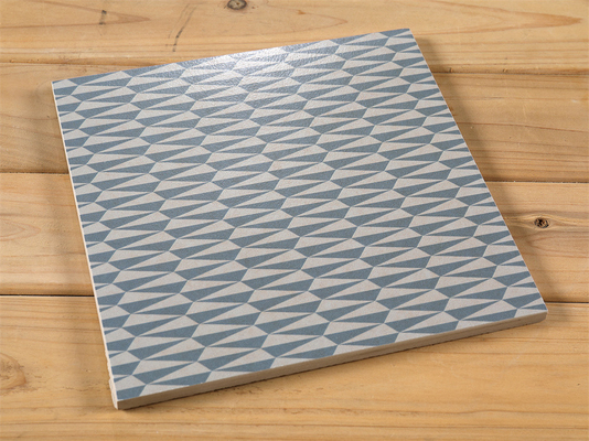 Szara płytka ceramiczna rustykalna 20x20cm do wnętrz na podłogi i ściany