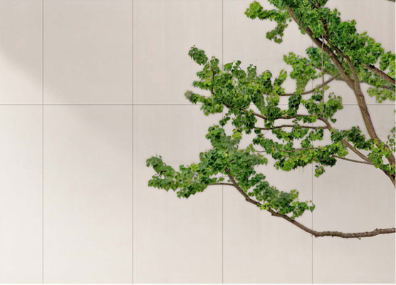 Firebrick białe ściany porcelanowe płytki 600x1200mm mat antyczny wykończenie dla centrum handlowego i biura