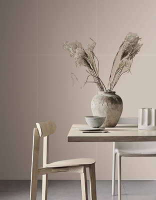 Szary podłogowy płytek zewnętrzny i SGS No Fade 600x1200mm Baby Face Szklane płytki porcelanowe do kuchni i salonu