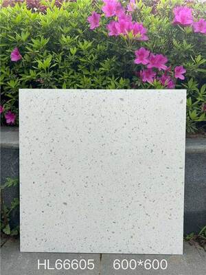 Wspaniałe i stylowe beżowe 600x600mm podłogi wnętrza Płytki ceramiczne Terrazzo do jadalni