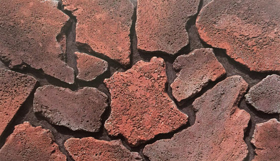 Cement czerwony klasy AAA, cegła z kamienia uprawionego do dekoracji ścian