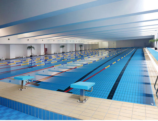 S003 Lane 24 kg / karton Ceramiczne płytki tarasowe Basen, glazurowana płytka krawędziowa 115 x 240 mm